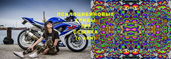 соль курить ск Дмитриев