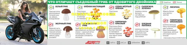 соль курить ск Дмитриев