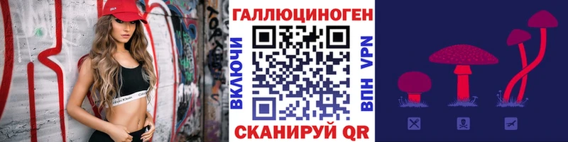 даркнет сайт  kraken ССЫЛКА  Псилоцибиновые грибы MAGIC MUSHROOMS  Новомосковск 