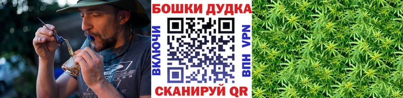 купить   Новомосковск  Бошки марихуана планчик 